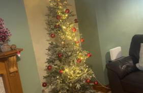 Llwyn Celyn 2 bedroom - Foto 14