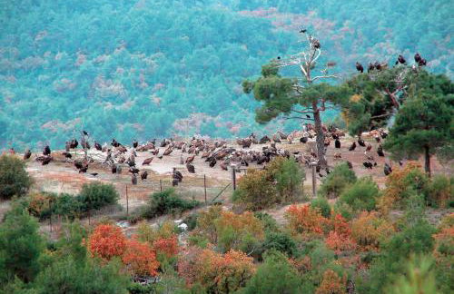 Hotel-Apartments La Strada - Foto 105