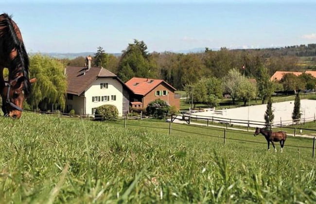 Guesthouse la Molière - Foto 43