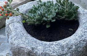 Nany-Villa with heated pool - Foto 14