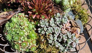 City Apartment Tübingen-Lustnau - Foto 2