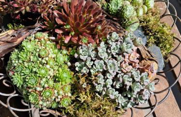 City Apartment Tübingen-Lustnau - Foto 2