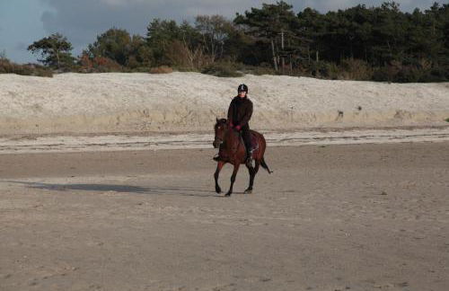 Gîte Les Vents du Large L'Aigrette - Foto 15