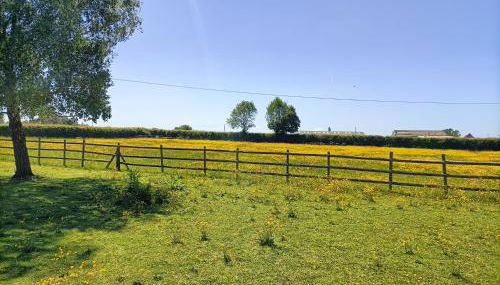 Crown Cabin Wiltshire near Longleat and Bath - Foto 5