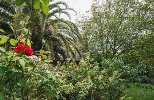 Maison Irriberria - Foto 38