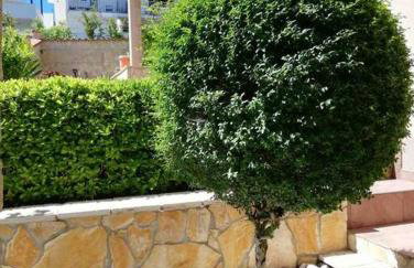 Villa Mala - Pool - Jacuzzi - 5 min. zum Meer - Photo 30