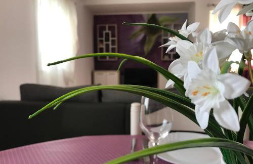 Apartments Luna - Photo 36