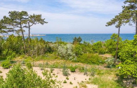 Villa Schmidt Apartments - Strandhaus direkt am Meer mit Sauna, Sport und Dünengarten - Deluxe - Foto 28