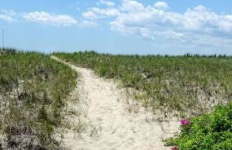 Fresh and Crisp Pet Friendly Studio - Foto 14