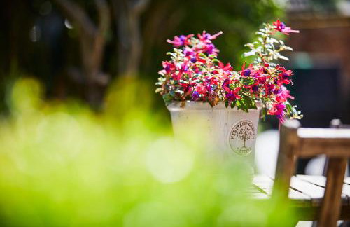 Cottage on The Croft - Foto 14