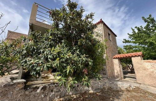 Πυργοσπιτο Χαντζακου - Foto 31