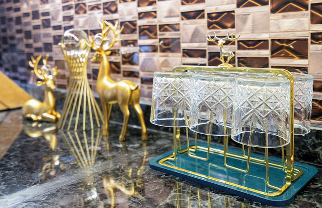 Salute de Léman - Luxury Apartment District 3 - Foto 20