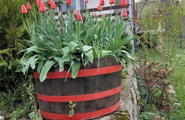 Apartman Jozefina - Foto 20