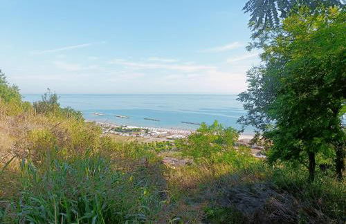 domus rosada - Foto 36