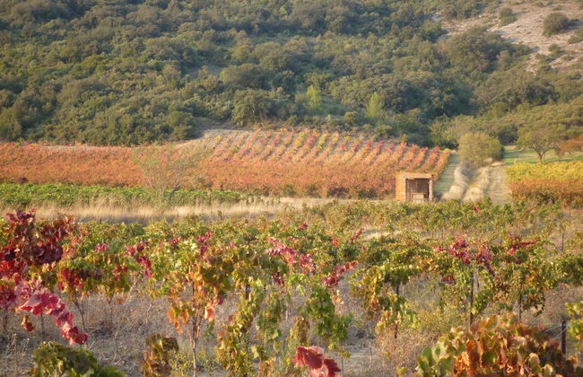 Le Gîte Vigneron - Foto 20