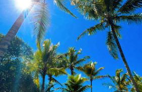 Vista para o mar Arraial d'Ajuda - Foto 48