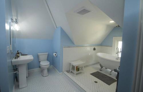 1880s Georgetown Jewel - Foto 29