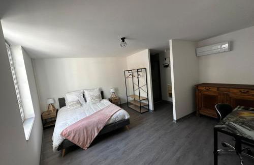 2 pièces parking, plein centre au calme climatisé - Foto 3