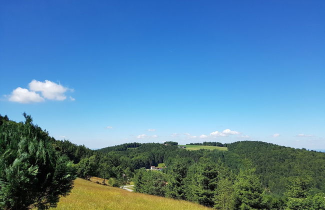 Pretty Holiday Home in Schöfweg ot Langfurth near Ski Slope - Foto 39