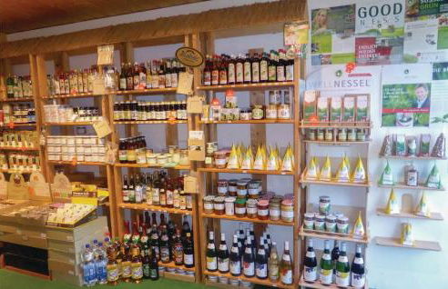 Cozy Apartment In Auerbach Ot Grünheide - Foto 17