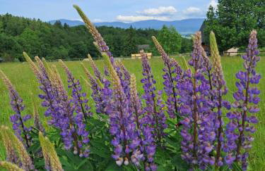 Reset w górach - Foto 29