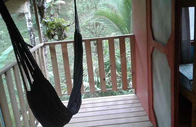 Drake Lapas - Foto 30