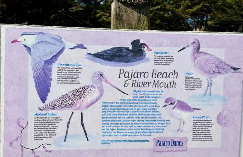 Oceanfront Top Floor Premium One Bedroom with Panoramic View of Monterey Bay, Very Private! - Foto 37