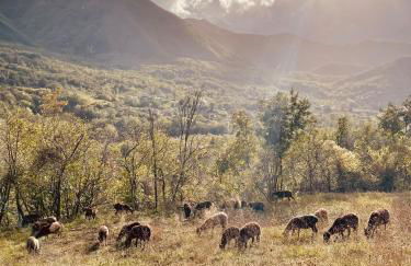 Torretta Margiotta - Foto 32