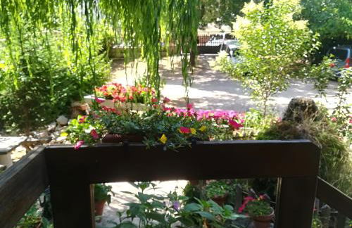 Cabañas los Pinos Arroyo Frio - Foto 46