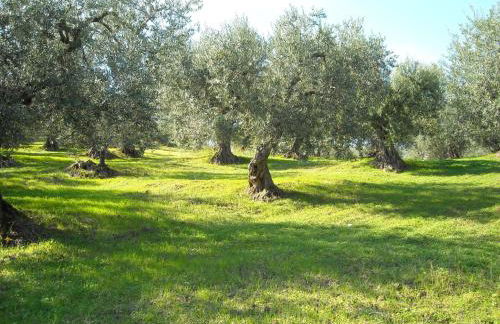 Apartment Anwesen mit Gemeinschaftspool by Interhome - Foto 36