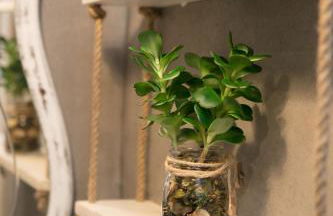 Apartaments Cal Trumfo - Foto 56