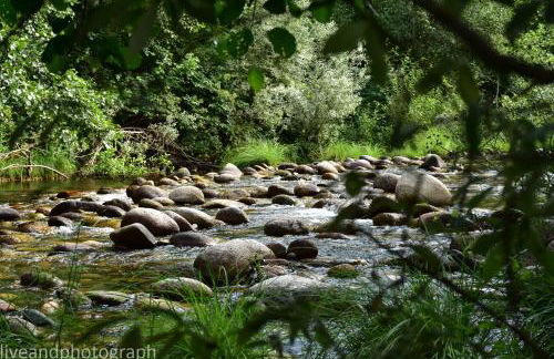 Casa Lagar Da Alagoa - Foto 6