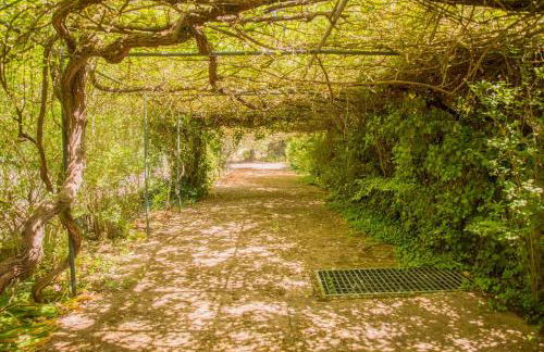 Relax in Style - Prime Spot with Garden & Natural Pool - Foto 35