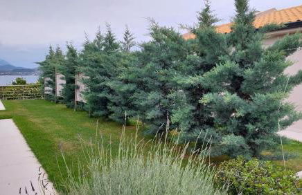 Alekos Beach Houses-Elia Villas - Foto 58