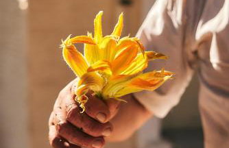 Oak Farm Traditional guesthouse - Foto 27