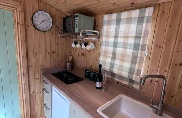 Shepherds Hut with Hot Tub - Foto 8