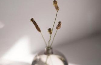 ZEN Minimal Luxury Housing Tyros - Foto 29