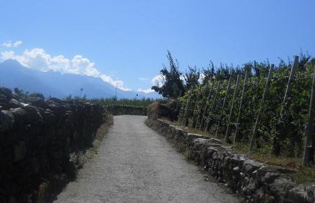 La Vita in Campagna - Foto 34