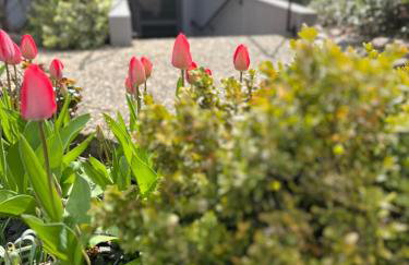 Au chemin des vignes - Foto 1