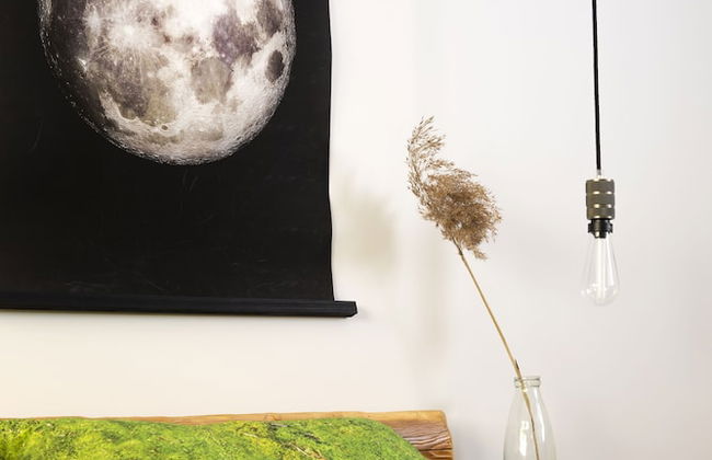 Green Deer Premium - Foto 43