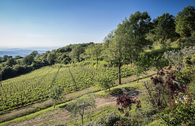 Le Cetinelle B&B - Photo 26