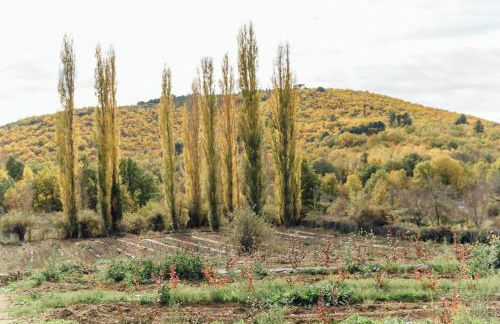 Alojamiento Turístico La alegría de la huerta - Foto 41