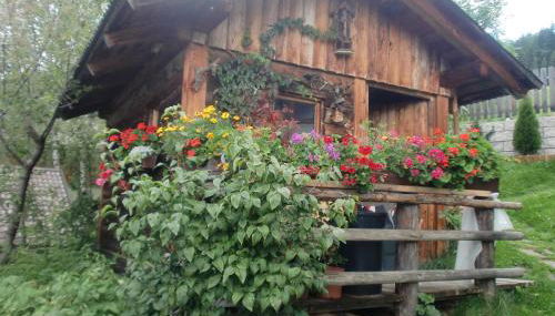 Ciasa Nea - Photo 2, Garden