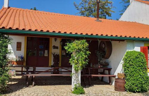 Quinta Flores - Foto 11