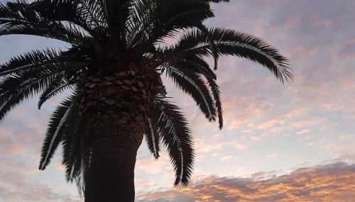 Villa Los Balcones - Foto 4