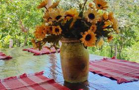 CANTINHO DA ROSA ac - RIO PRIVATIVO - Foto 1