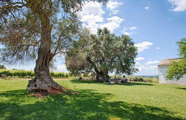 Morgado do Quintao - Foto 67