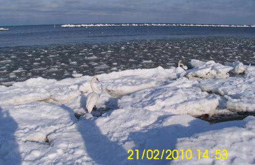 Ferienhaus "Sommerbrise" - Foto 63