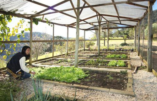 Rancho do Paioleiro - Foto 80