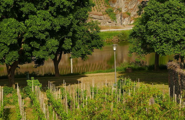 Apartment in Trittenheim With Terrace and Garden - Foto 23